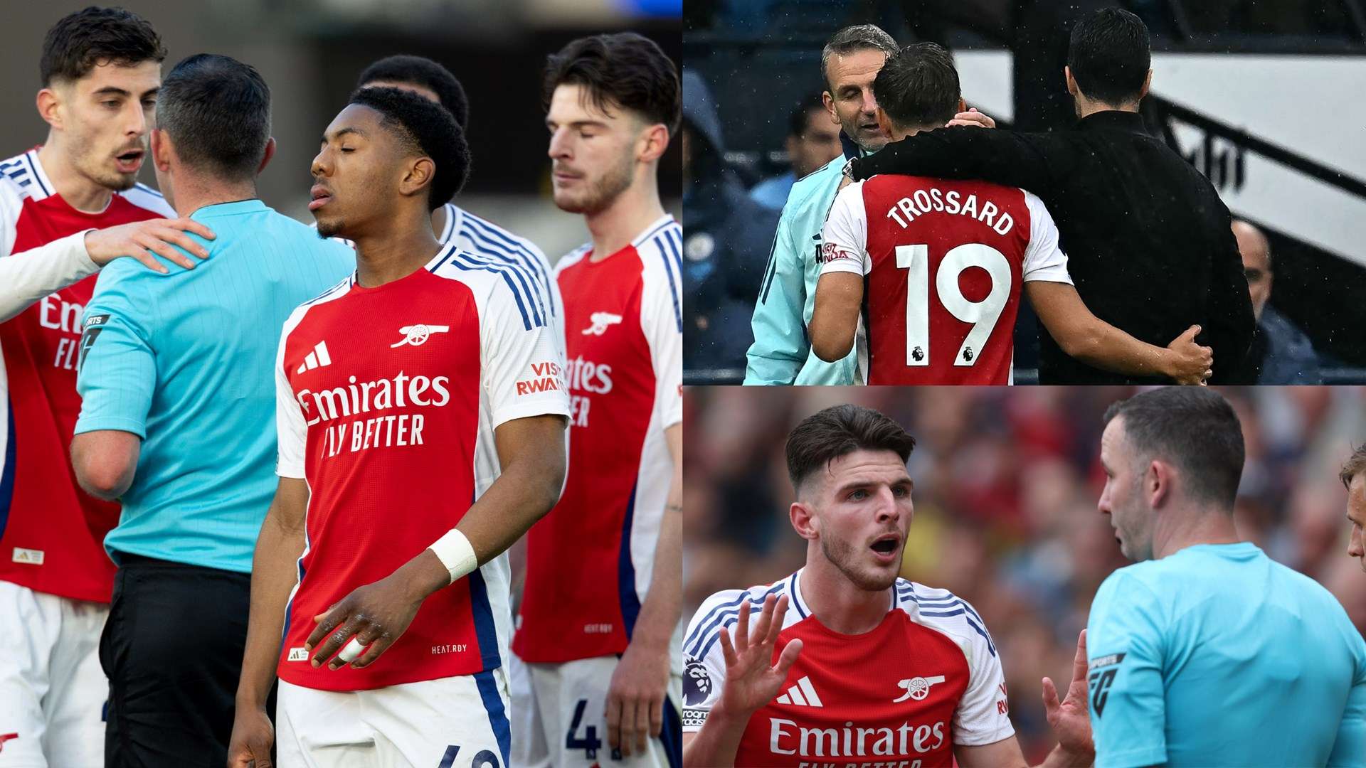 增添了观赏 增添了观赏